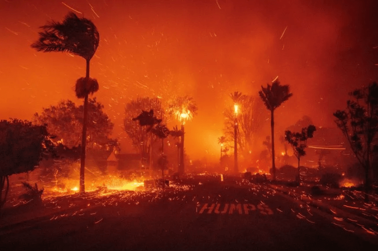 洛杉矶帕利塞兹大火案再曝细节！嫌犯新年夜情绪异常，辩方称其是“替罪羊”